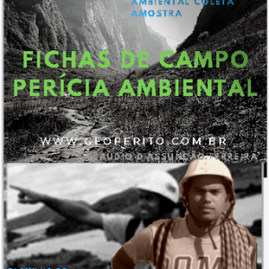 Ficha de campo pra perícia ambiental coleta e amostra / Ficha de avaliação de acidente ambiental / Conceitos planos de perícia ambiental