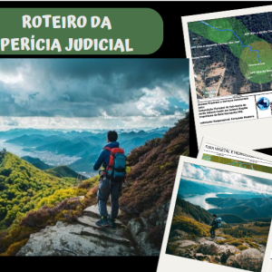 Roteiro da perícia judicial, um resumo demonstrando quem é o perito, o assistente, código processo civil, e a dinâmica dentro  dos tribunais de Justiça.